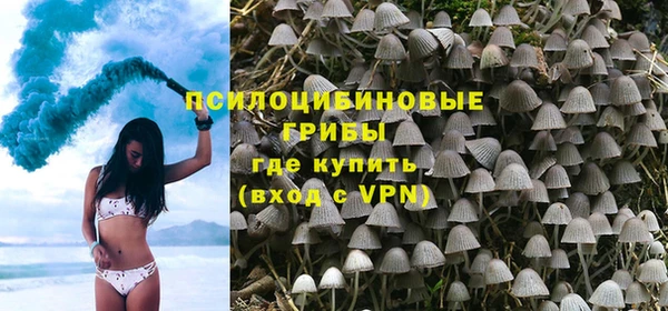 каннабис Бородино