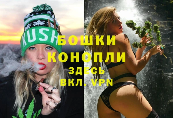 дмт Богородицк