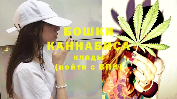 дмт Богородицк